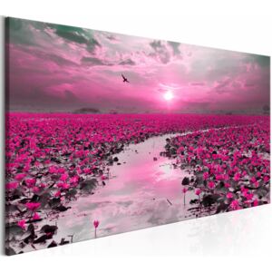 Canvas Print Sunrises and Sunsets: Lilies and Sunset (1 Part) Wide