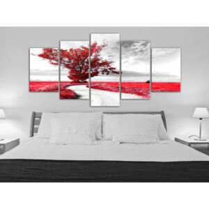 Canvas Print Trees: Tree near the Road (5 Parts) Red