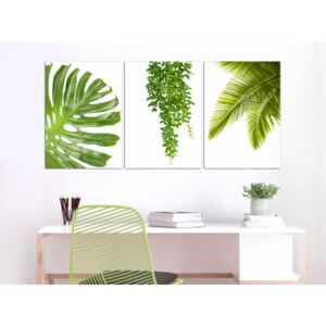 Canvas Print Minimalist: Beautiful Palm Trees (3 Parts)