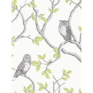 Woodland Owls Wallpaper Green Fine Decor FD40637