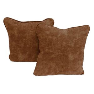 Legend Pair of Scatter Cushions