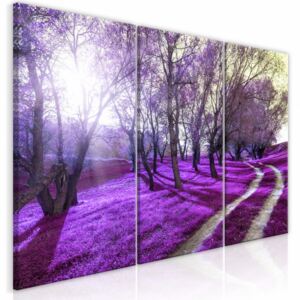 Canvas Print Trees: Lavender Orchard (3 Parts)