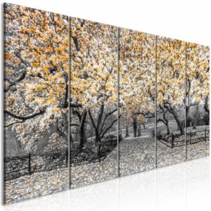 Canvas Print Magnolias: Magnolia Park (5 Parts) Narrow Orange