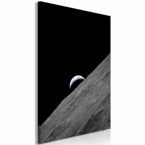 Canvas Print In the Moonlight: Lonely Planet (1 Part) Vertical