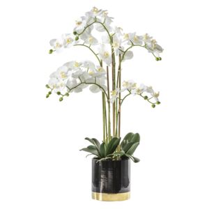 Faux White Orchid in Black Pot