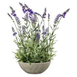 Faux Potted Lavender Bowl, Small