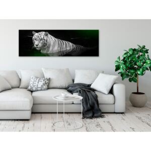 Canvas Print Cats: Shining Tiger (1 Part) Green Narrow