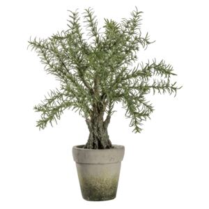 Faux Potted Rosemary Tree