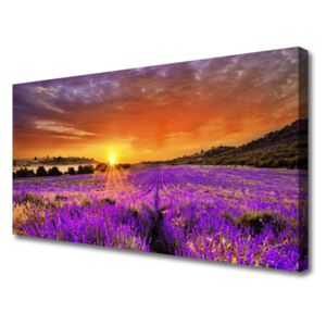 Canvas Wall art Sun meadow flowers nature yellow pink 100x50 cm