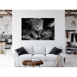Canvas Print Cats: Green-Eyed Predator (1 Part) Wide Black and White