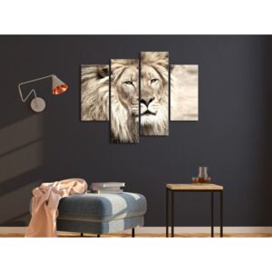 Canvas Print Cats: The King of Beasts (4 Parts) Beige