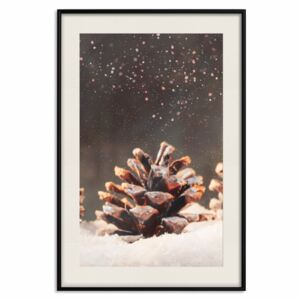 Poster Winter Pine Cone [Poster]