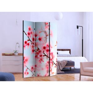 Room divider: Symbol of Japan - sakura flowers [Room Dividers]