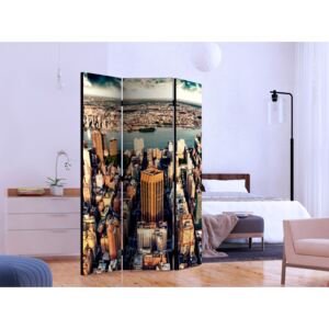 Room divider: Bird's Eye View of New York [Room Dividers]