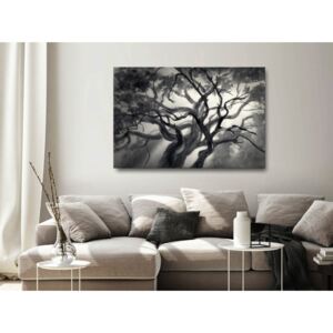 Canvas Print Trees: Lighted Branches (1 Part) Wide