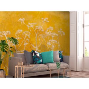 Wall mural Landscapes: Meadow Bathed in the Sun