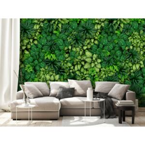 Wall mural Landscapes: Plant Wall