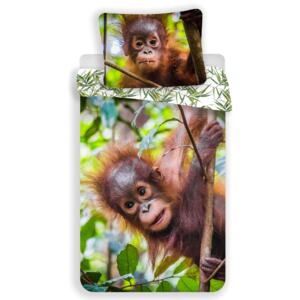 Orangutan 100% Cotton Single Duvet Cover and Pillowcase Set - European