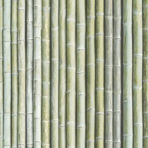 Organic Textures Bamboo Green Wallpaper