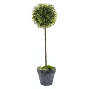 Faux Potted Tea Tree