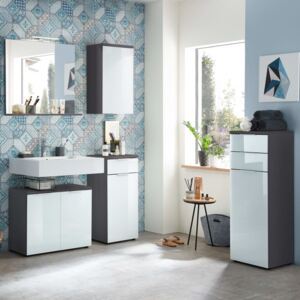 Germania Bathroom Wall Cabinet GW-Pescara Graphite White