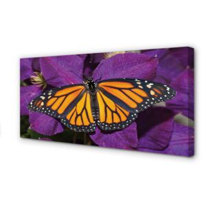 Canvas print Flowers colorful butterfly 100x50 cm