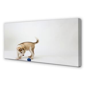 Canvas print Play with the dog 100x50 cm
