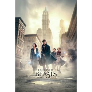 Art Poster Fantastic Beasts - Where to find them